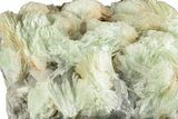Green, Bladed Prehnite Crystals with Quartz - Morocco #255513-2